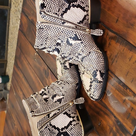 Chloe Snakeskin Ankle Boots with Gold Buckles - Picture 14 of 16